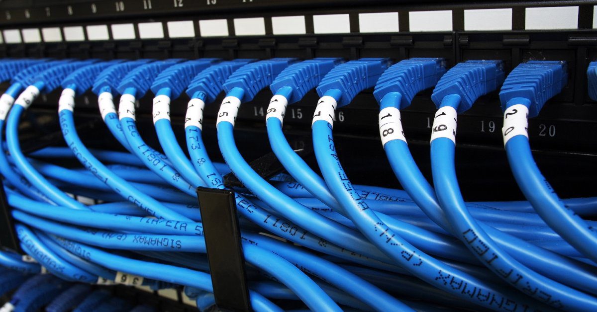 Many blue data cables plugged into numbered ports. Each cable has writing printed on it and a white label.